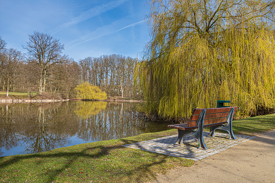 Der Schwanensee in der Rosenau in Rödental