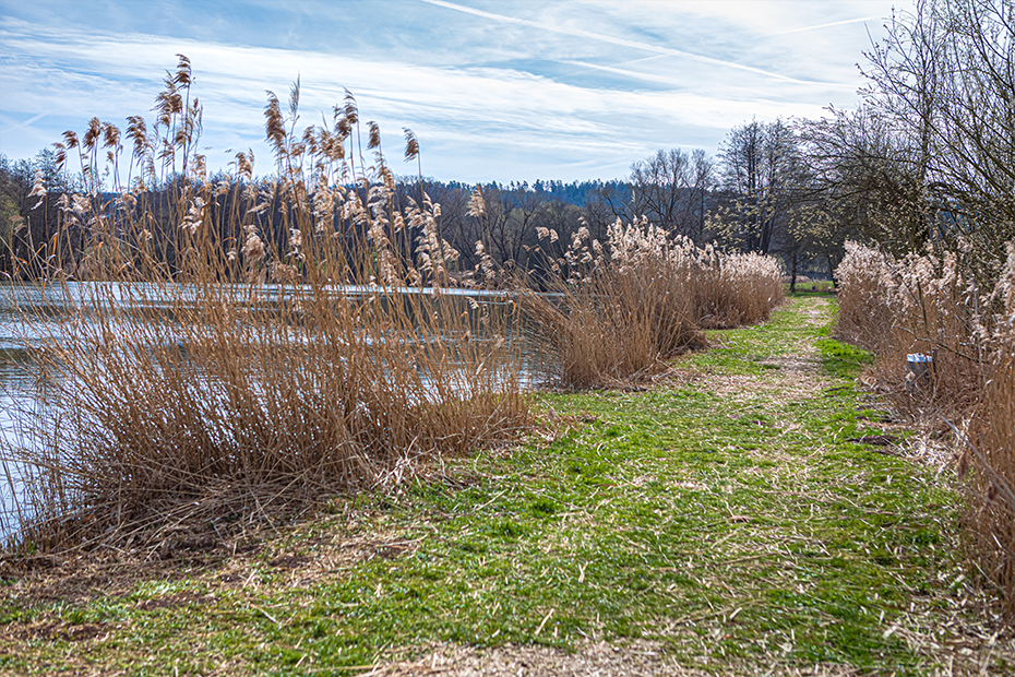 Der Mühlteich in Coburg-Neu-und Neershof