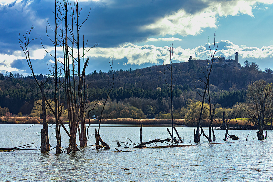 Der Goldbergsee in Coburg-Beiersdorf